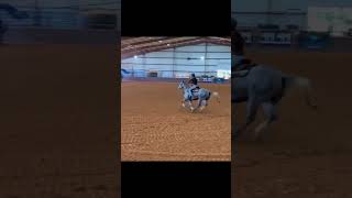 shezsoepic baileyfowler fypシ゚ 2025hopeful futurity filly workharder dedication [upl. by Lynnett610]