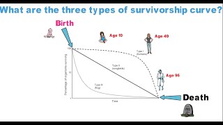 What are the three types of survivorship curve [upl. by Abelard453]