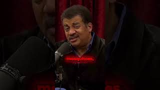 Nobody CARES About Bugs ⁉️🪲 Neil deGrasse Tyson Explains [upl. by Priscella]