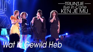 Trijntje Oosterhuis  Wat Ik Gewild Heb Live  Carré 2018 [upl. by Nosittam]