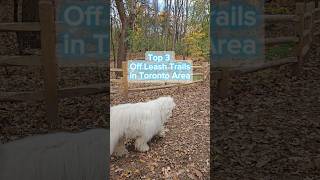 Top 3 Off leash dog trails in Toronto area dog dogpark dogfriendly [upl. by Nairolf]