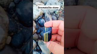 stromatolites 200k stone shorts viralshorts youtubeshorts gemstones diamond crystals [upl. by Esidnak158]