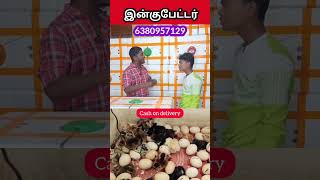 IncubatorReelsManufacturingTrending Agriculture Vivasayam tamilreelstrending [upl. by Llertnac765]