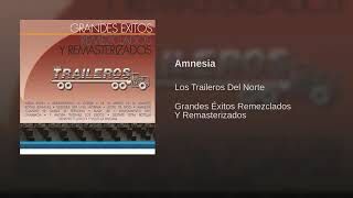 Los Traileros del Norte Amnesia [upl. by Lorelei]