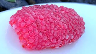 Invasive snail eggs crushed  Apple snail Eggs ASMR 🐌24 [upl. by Sheba814]