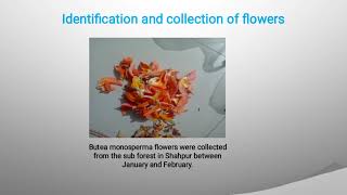 PIGMENT EXTRACTED FROM BUTEA MONOSPERMAFLOWER” [upl. by Benoite]