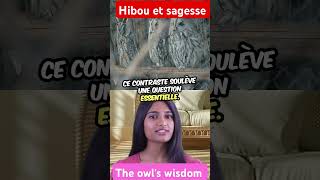 La sagesse du hibou et la solitude 🔥😯🔥 animaux motivation humour animals [upl. by Oelak]