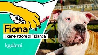 Chi è Fiona il cane che interpreta Linneo in Blanca [upl. by Ennairol926]