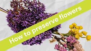 Preserving Flowers For Your Resin amp Craft Projects [upl. by Sherfield253]