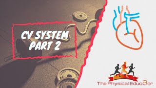 Physical Educ8or IB SEHS Cardiovascular System Part 2 [upl. by Goldi]