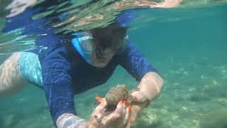 Free Snorkeling 2023 08 10 au 21 île des Embiez [upl. by Nightingale]