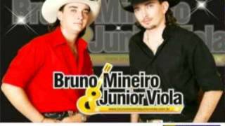 Simprão de Tudo  Bruno Mineiro e Junior Viola [upl. by Salzhauer]