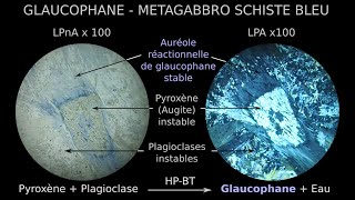 Glaucophane amphibole sodique HP BT dans métagabbro du faciès des schistes bleus LPnA vs LPA x100 [upl. by Robson]