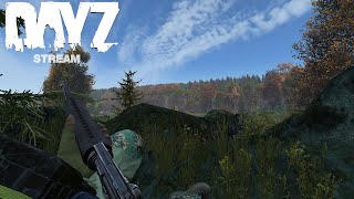 DayZ  Chernarus Day 11 [upl. by Hnacogn117]