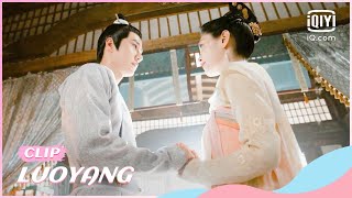 🔎Liu is Baili Hongyis strongest support  LUOYANG EP36  iQiyi Romance [upl. by Mulford]