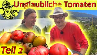 Gartenrundgang beim TomatenProfi Teil 2 Wir testen die besten Sorten aus dem Tomatengarten [upl. by Nivaj]