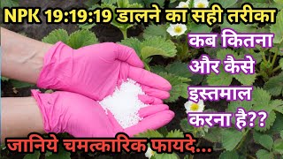 NPK खाद का सही इस्तेमाल करना सिखिएPlant Growth Tonic NPK 191919 FertilizerBest Fertilizer [upl. by Boris]