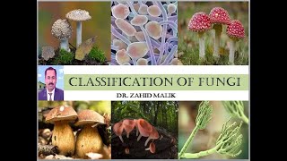 Classification of Fungi Part 1 Phylum Chytridiomycota by Dr Zahid [upl. by Avad]