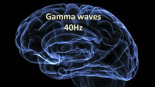 Gamma waves 40 HZ pure Isochronic tone [upl. by Karub]