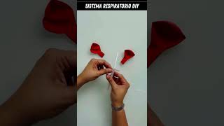 ✨🫁 Cómo hacer el Sistema Respiratorio con una BOTELLA DIY [upl. by Wade747]