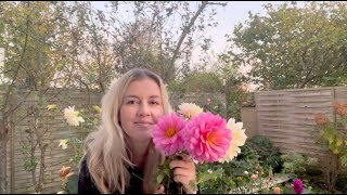 AUTOMNE ET JARDIN jardinez avec moi dahlias et bouquet [upl. by Orsa]