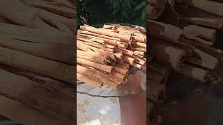 florigenspice agrihortivlogsagrivlog gardening cinnamoroll cinamonsticks vivasayam spices [upl. by Aerdnwahs]