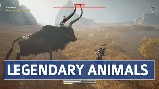 Assassins Creed Odyssey  Daughters of Artemis Questline Location amp Walkthrough Legendary Animals [upl. by Yzeerb466]