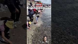 Machli pakadne ke liye Pani me bijli ka karent choda jata hai fish fisingtime fish samundar demo [upl. by Cohbath810]