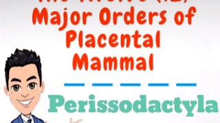 Biology The Order Perissodactyla of Placental Mammals [upl. by Ruy]