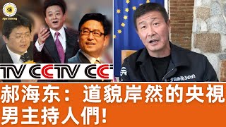 【郝海东】CCTV男主持们毫无道德底线道貌岸然，张宏民骂粉丝傻逼，朱军玩弄观众“看我把这帮傻逼弄哭”，许旸童可欣乱交，张斌数次出轨 郝海东 张斌 朱军 白岩松 许旸 童可欣 足球 [upl. by Enecnarf]