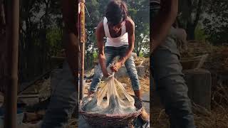 Jaggery Making Factory in Indian Village streetfood indianstreetfood foodie mango cooking [upl. by Aneelad]