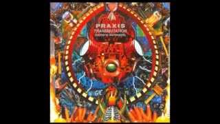 Full Album Praxis  Transmutation [upl. by Garik]