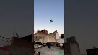 Basant kite flying viralvideo kite kiteflying kitefestival viralshorts [upl. by Mchale]