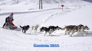 Schlittenhunderennen in Sportgastein 2015 Sony 4 K [upl. by Carol-Jean]