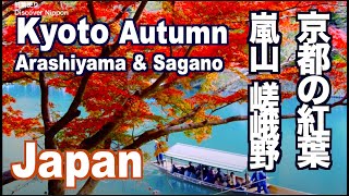 京都の紅葉 KYOTO Autumn Leaves 嵐山 嵯峨野の紅葉の名所 京都観光 旅行 Arashiyama Sagano 天龍寺 常寂光寺 宝厳院 日本 JAPAN [upl. by Quirita627]