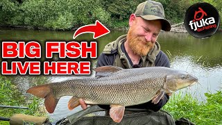 River Severn barbel fishing with NEW pellets [upl. by Adirem376]