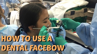 How To Use A Dental Facebow  Brittany Goes to Dental School [upl. by Odnumde]