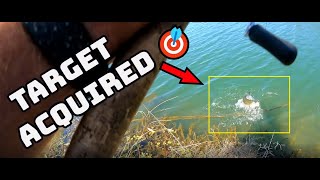 Finding the Pattern Bass Fishing Almaden Lake San Jose [upl. by Erving493]