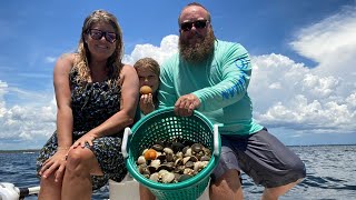 Scalloping in Steinhatchee Catch Clean Cook [upl. by Nikita]