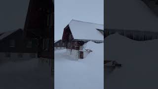 📌 Engstligenalp Adelboden Switzerland 🇨🇭🌨️❄️ [upl. by Malvino]