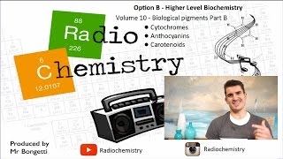 Option B Biochemistry  B9 Biological pigments [upl. by Chantalle23]