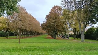 Randonnée au nord de la SeineetMarne parcours de 8 km au départ du parc de Rentilly le 20102024 [upl. by Llerdna]