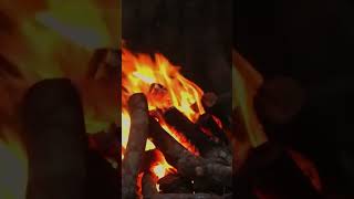 Experience the Mesmerizing Flames 🔥 Captivating Firewood Burn [upl. by Walling]