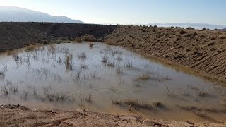 Cruda Realidad consecuencias temporal de lluvia en Murcia [upl. by Mickelson]