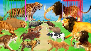 10 Giant Tiger vs 10 Monster Lion Mammoth Attack Cow Buffalo Goat Rescue Saved By Mammoth Elephant [upl. by Coke202]