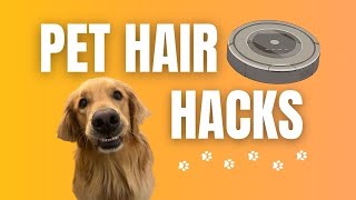 Pet Hair Hacks Top 5 Ways To Manage Shedding From Your Dog In Your Home [upl. by Tennek]