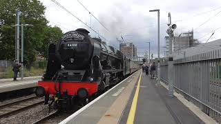 46100 Royal Scot on The Steam Dreams pass West Ealing for Oxford on Saturday 13th July 2024 [upl. by Kcinnay45]