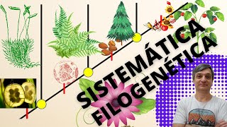 Sistemática filogenética [upl. by Ludovika771]