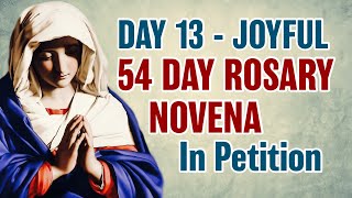 54 Day Rosary Novena Day 13 💙Joyful Mysteries [upl. by Laura]