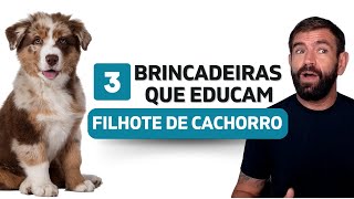 Como adestrar um filhote de cachorro 3 brincadeiras que educam [upl. by Jennee]